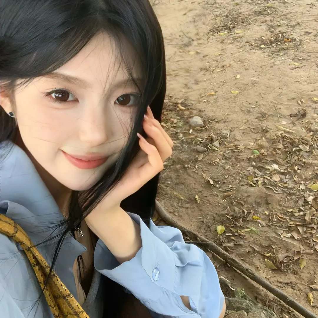 鲨与鲸