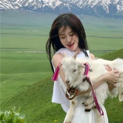 败犬求婚日