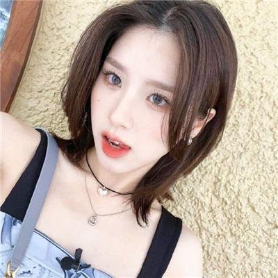 29片棕榈叶